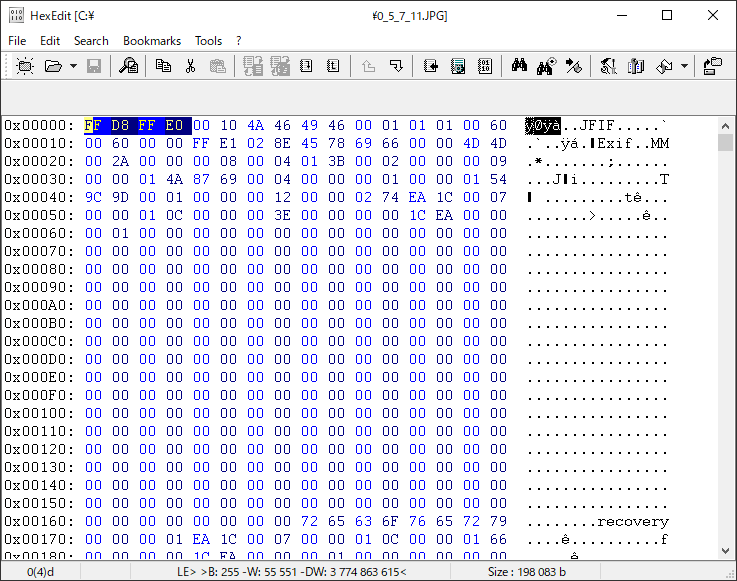 JPEGファイルをバイナリエディタで見る